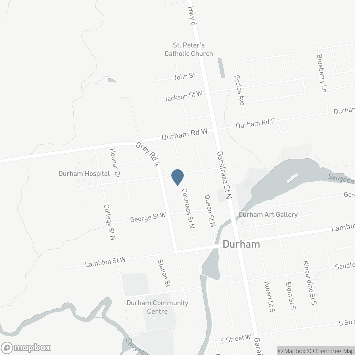 298 COUNTESS STREET N, Durham, Ontario N0G 1R0